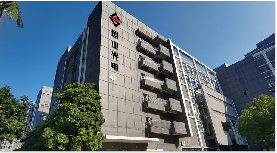 Shenzhen Guoye Optoelectronics 2024 Eind samenvatting
