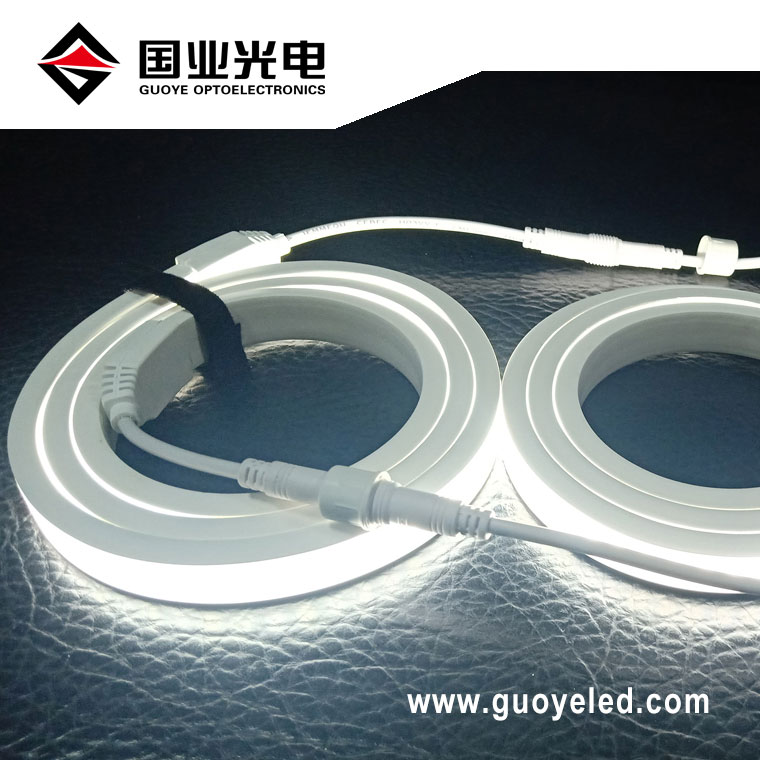 Neon ledstrip 220v